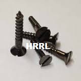 SS Polished Wood Screws Dealers